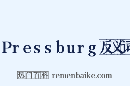Pressburg反义词是什么意思的图片